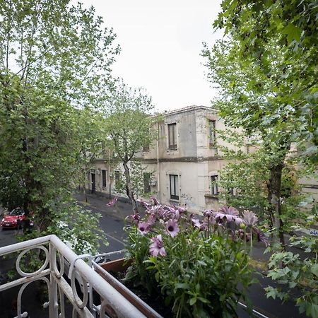 B&B Morosoli Palace CTA Eksteriør billede